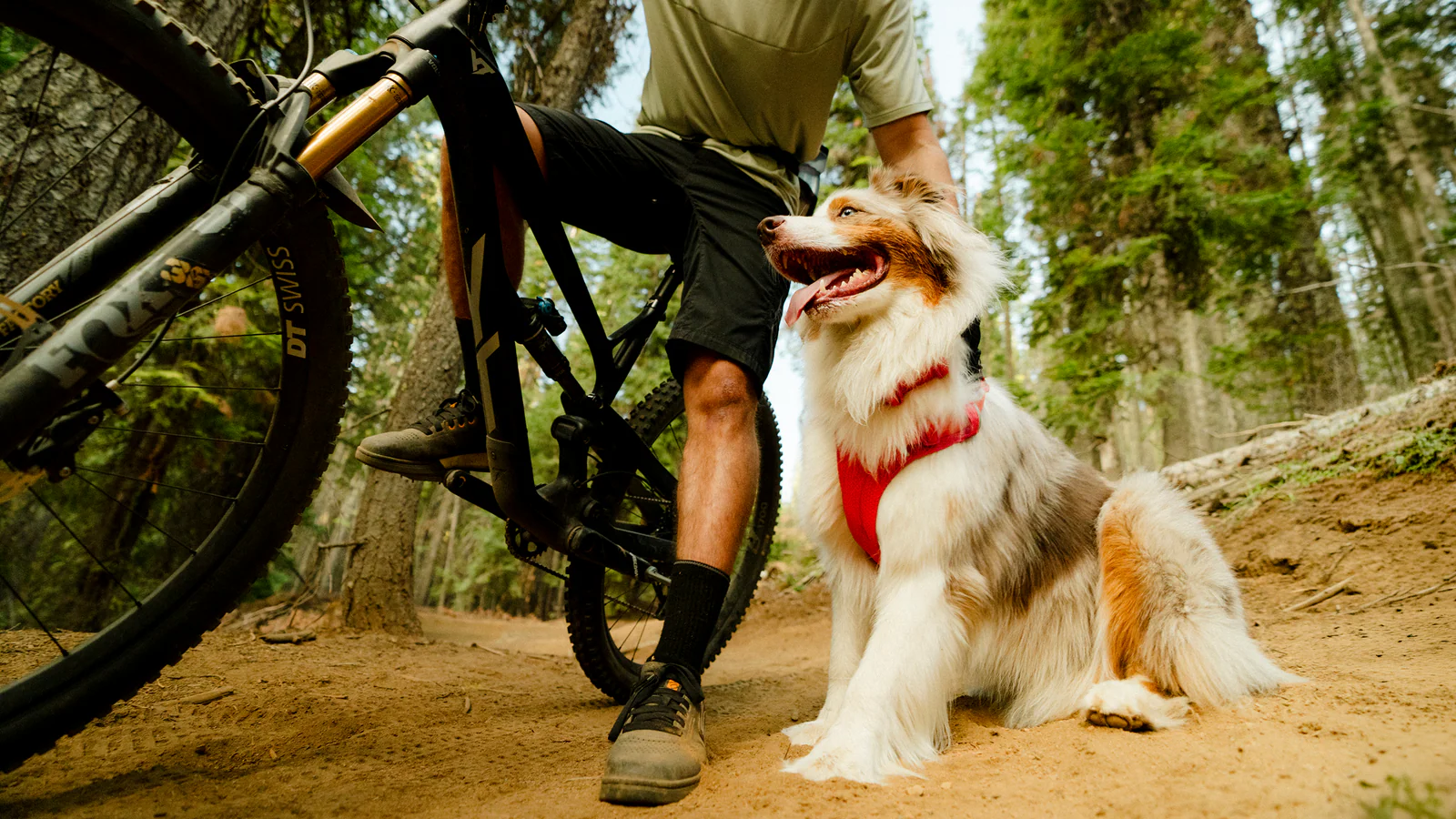 Built for Every Wild Adventure